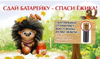Акция «Батарейку принеси - ёжика спаси» Акция «Батарейку принеси - ёжика спаси».